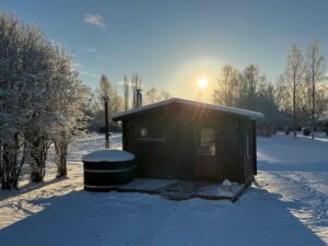 Näre talvimaisemassa - Loghirsi
